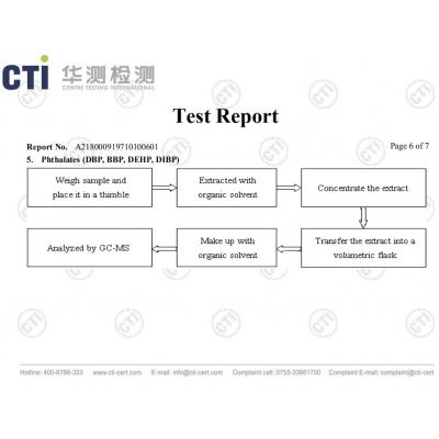 文本报告