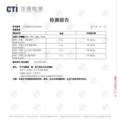 检测报告