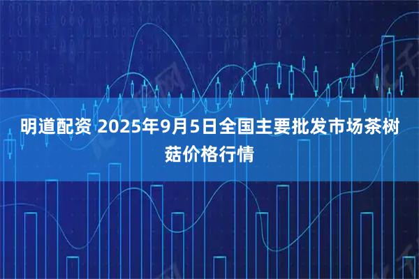 明道配资 2025年9月5日全国主要批发市场茶树菇价格行情