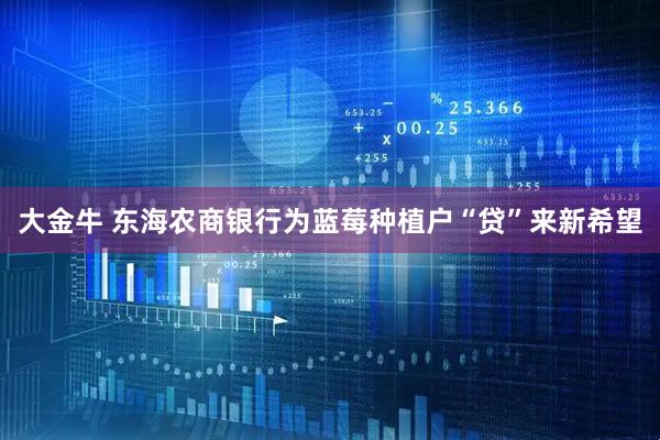 大金牛 东海农商银行为蓝莓种植户“贷”来新希望