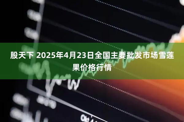 股天下 2025年4月23日全国主要批发市场雪莲果价格行情