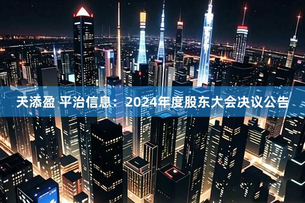 天添盈 平治信息：2024年度股东大会决议公告