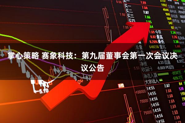 掌心策略 赛象科技：第九届董事会第一次会议决议公告