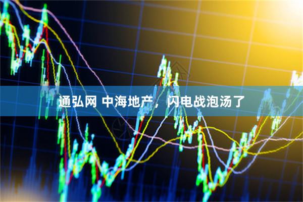通弘网 中海地产，闪电战泡汤了