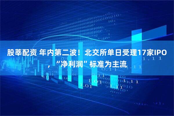 股莘配资 年内第二波！北交所单日受理17家IPO，“净利润”标准为主流
