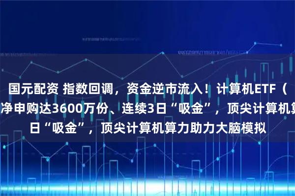 国元配资 指数回调，资金逆市流入！计算机ETF（159998）上周五净申购达3600万份、连续3日“吸金”，顶尖计算机算力助力大脑模拟