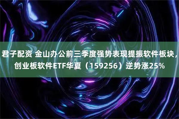 君子配资 金山办公前三季度强势表现提振软件板块，创业板软件ETF华夏（159256）逆势涨25%